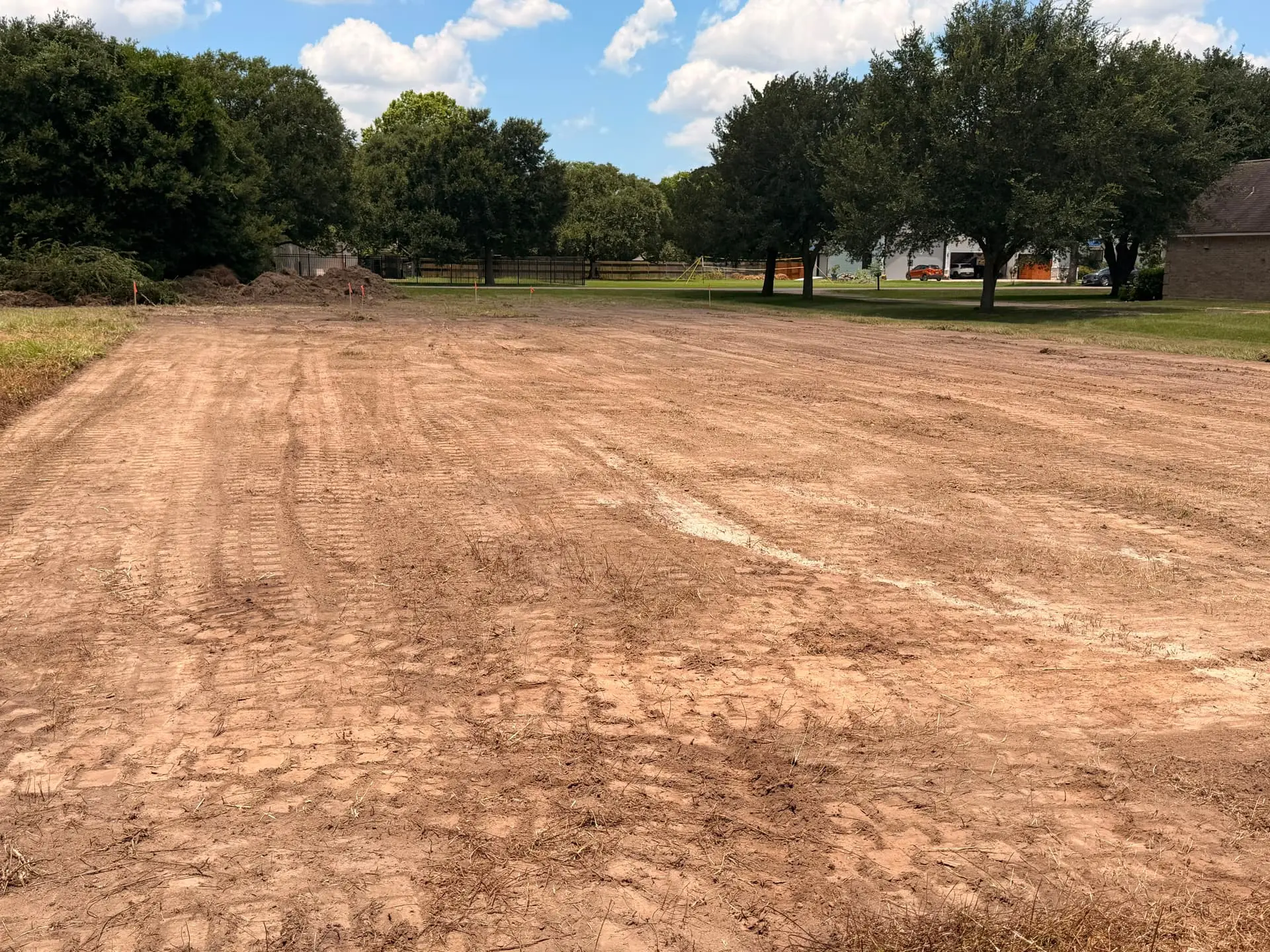 Cleared pine woodland showing nutrient-rich mulched ground cover with no burn piles