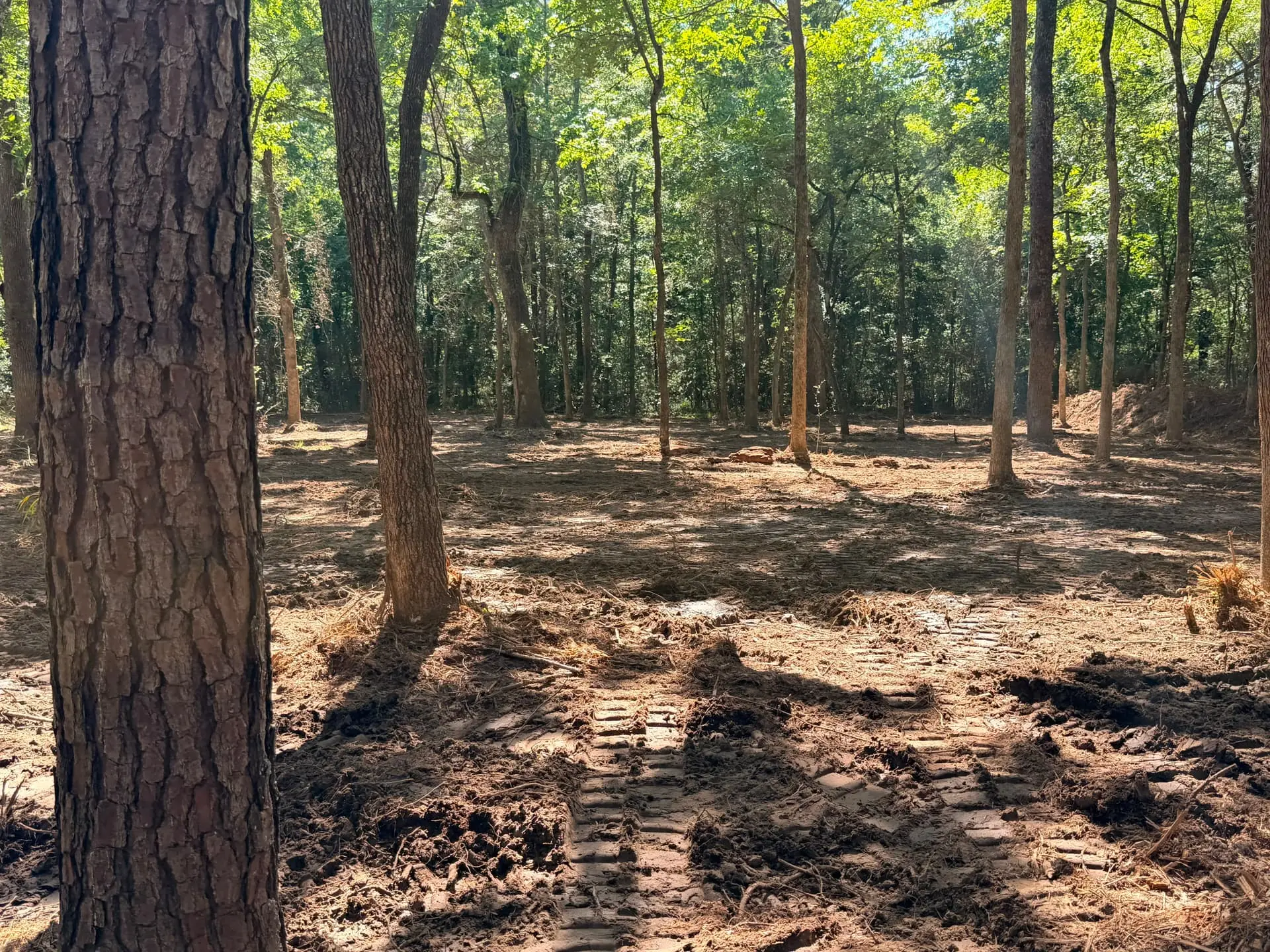 Commercial track loader performing commercial land clearing and right-of-way clearing in Texas
