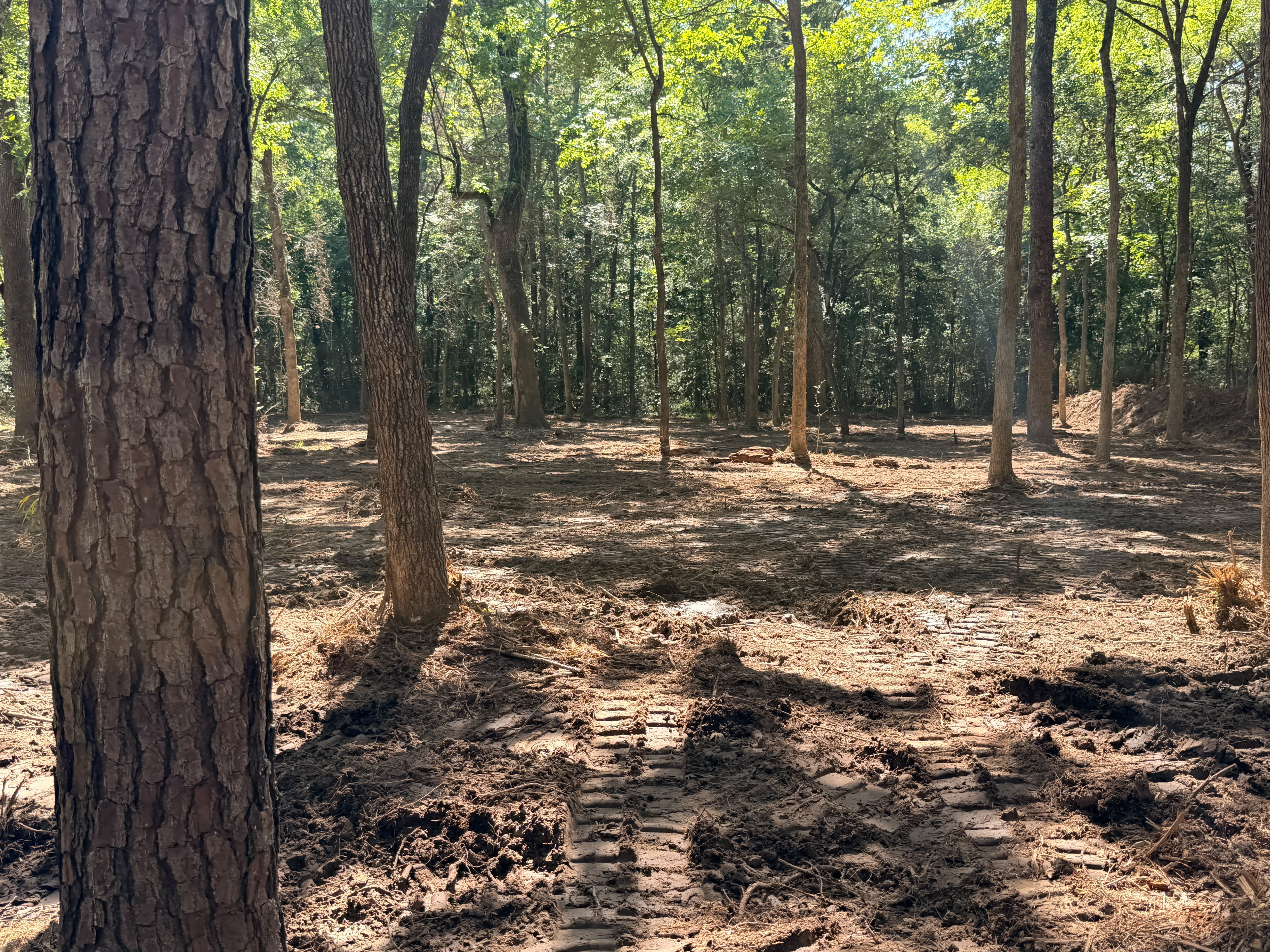 Commercial track loader performing commercial land clearing and right-of-way clearing in Texas