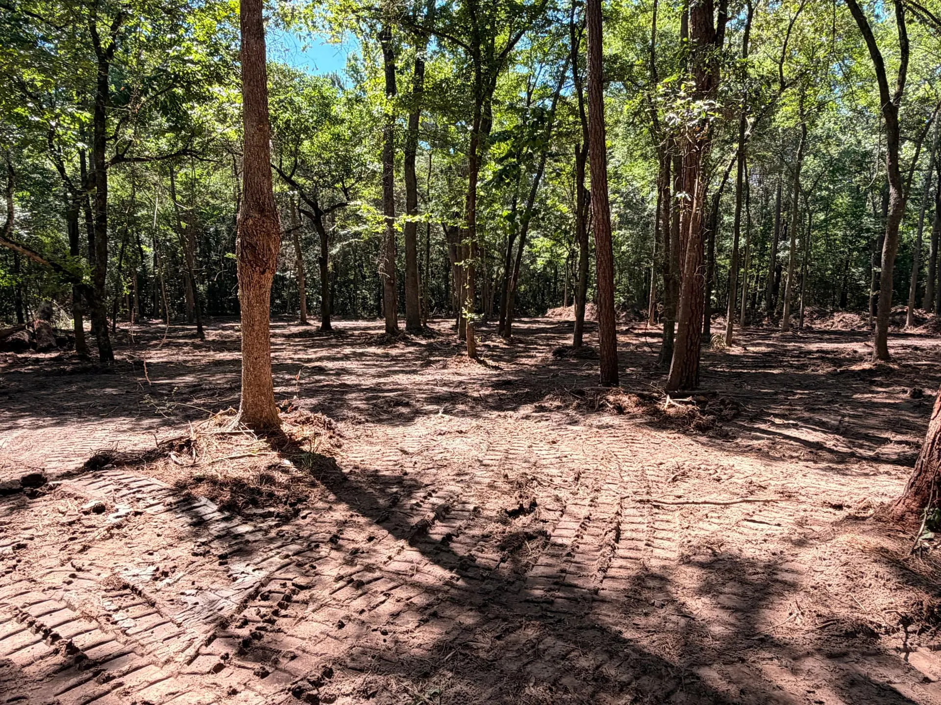 High-production forestry mulching head on commercial track loader ready for dense underbrush removal