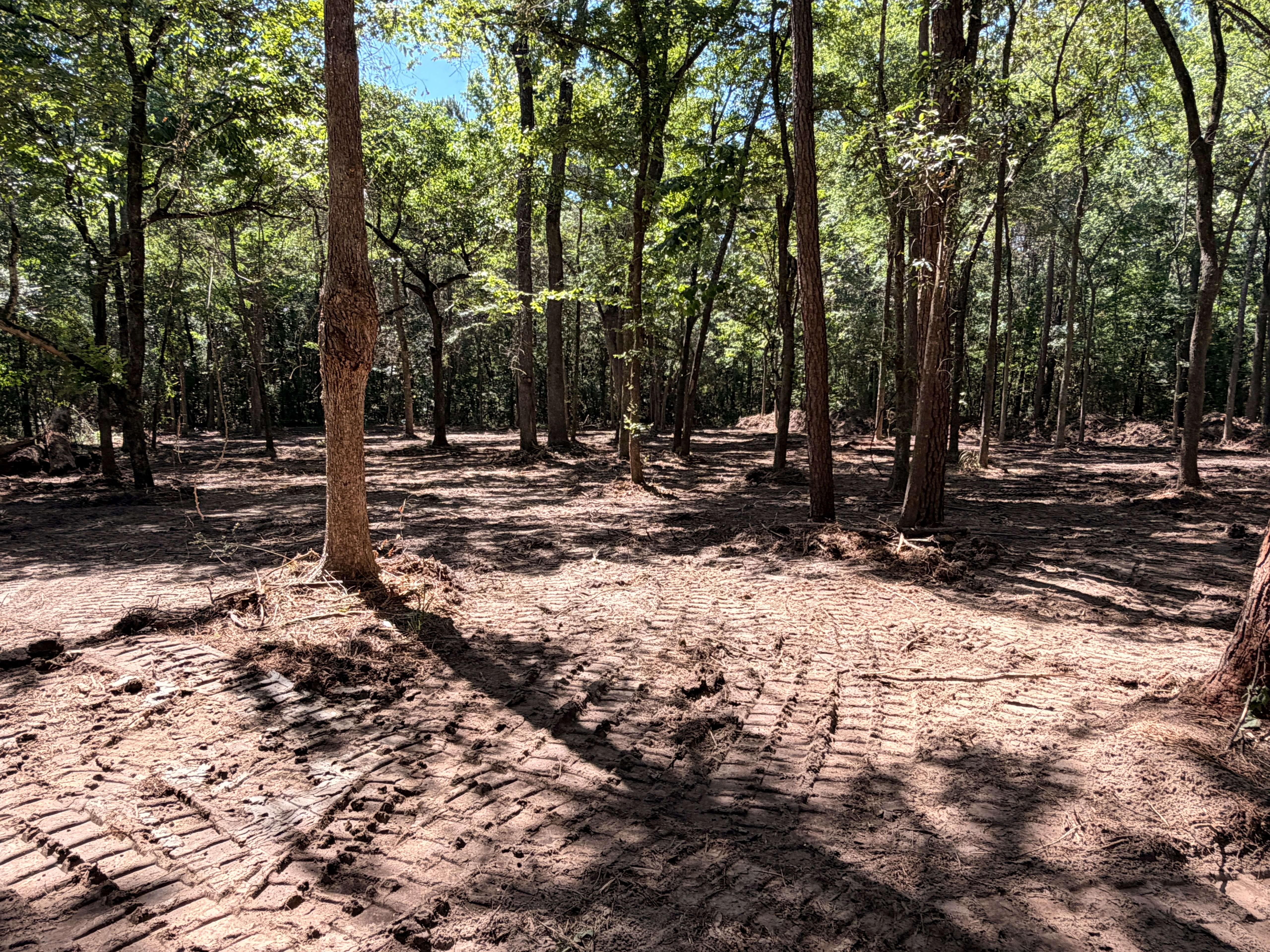 High-production forestry mulching head on commercial track loader ready for dense underbrush removal